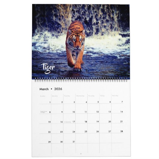Large Size Exotic Animals Calendar Kalender (Mar 2026)