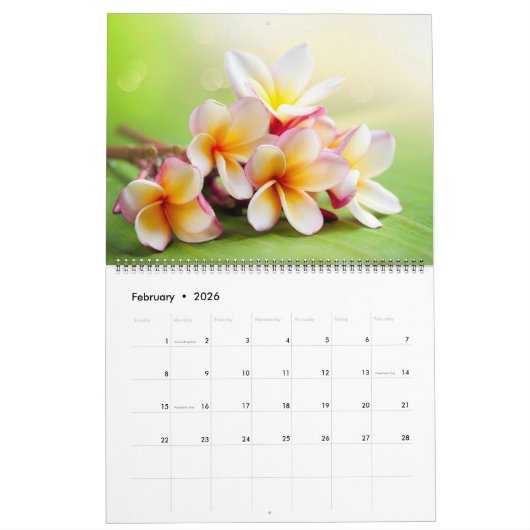 Large Size Exotic Flowers Calendar Kalender (Feb 2026)