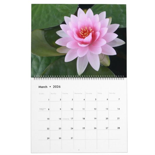 Large Size Exotic Flowers Calendar Kalender (Mar 2026)