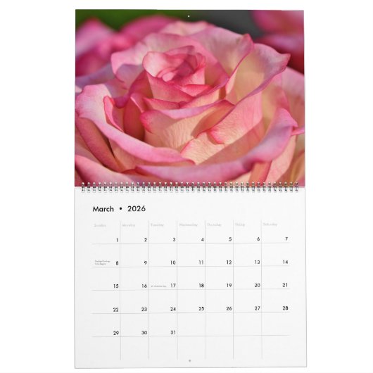 Large Size Forever Roses Calendar Kalender (Mar 2026)