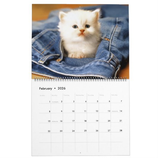 Large Size Kittens Calendar Kalender (Feb 2026)