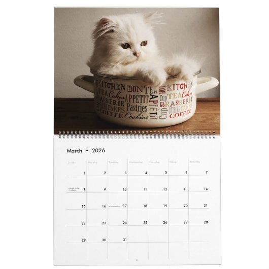 Large Size Kittens Calendar Kalender (Mar 2026)