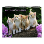Large Size Kittens Calendar Kalender (Hoes)