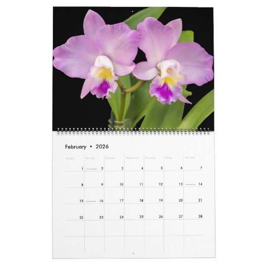 Large Size Orchids Calendar Kalender (Feb 2026)