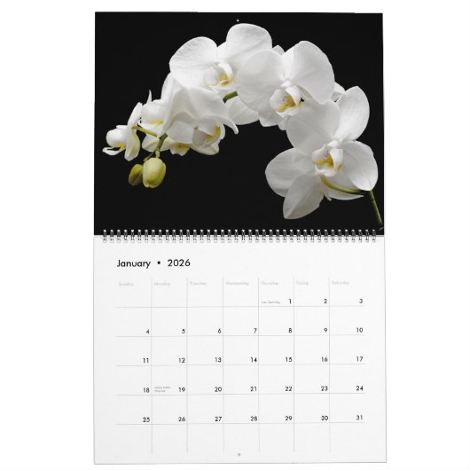 Large Size Orchids Calendar Kalender (Jan 2026)