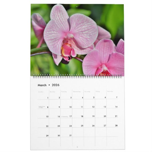 Large Size Orchids Calendar Kalender (Mar 2026)