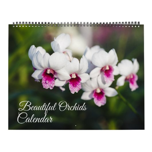 Large Size Orchids Calendar Kalender (Hoes)