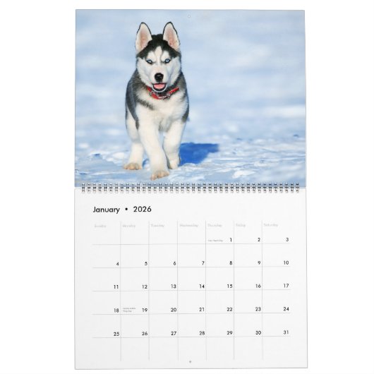 Large Size Puppy Love Calendar Kalender (Jan 2026)