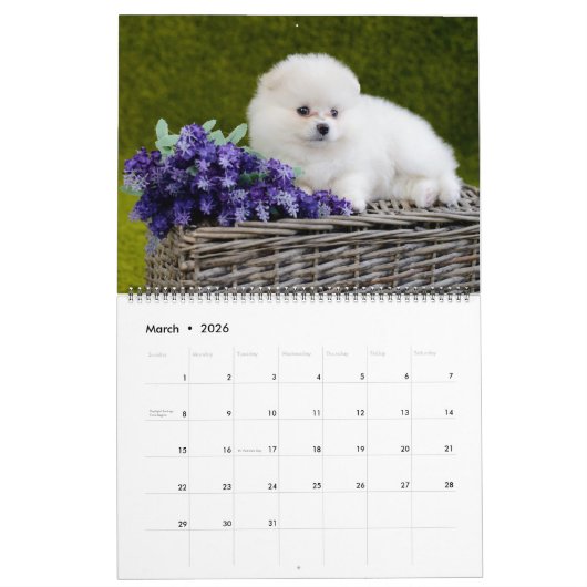 Large Size Puppy Love Calendar Kalender (Mar 2026)