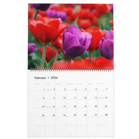 Large Size Tulips Calendar Kalender (Feb 2026)