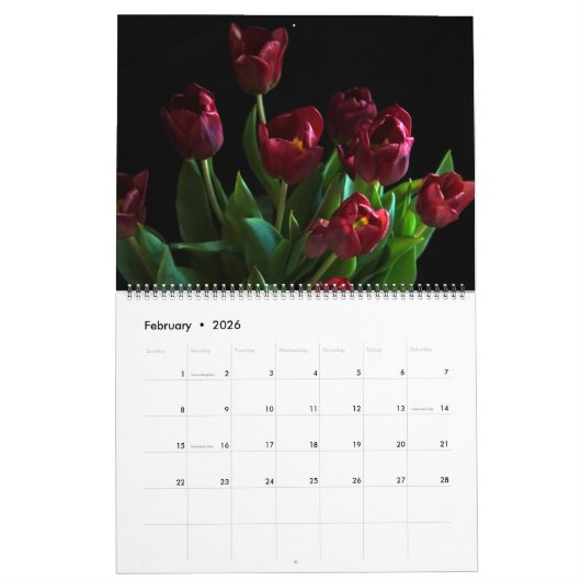 Large Size Tulips Calendar Kalender (Feb 2026)