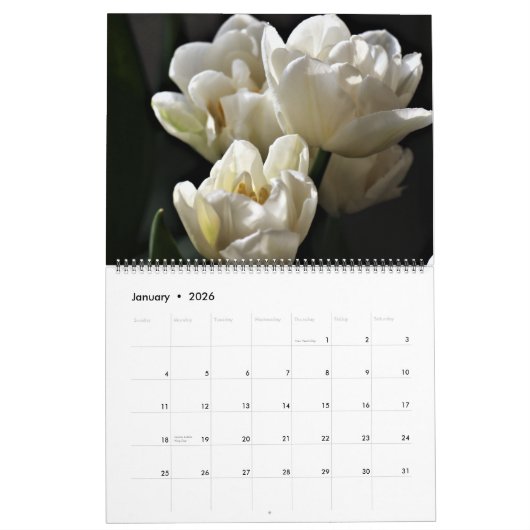 Large Size Tulips Calendar Kalender (Jan 2026)