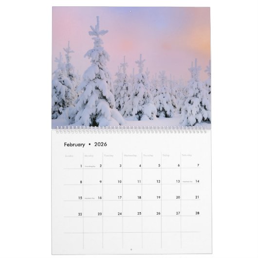 Large Size Winter Paradise Calendar Kalender (Feb 2026)