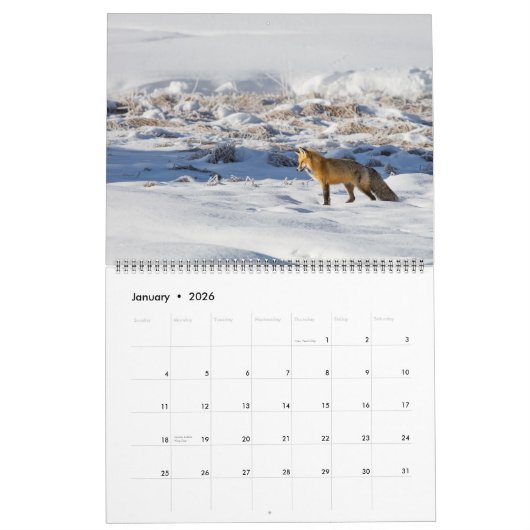 Large Size Yellowstone Park Calendar Kalender (Jan 2026)