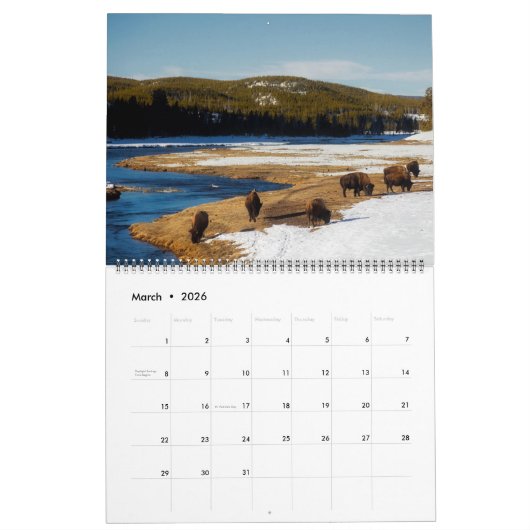 Large Size Yellowstone Park Calendar Kalender (Mar 2026)