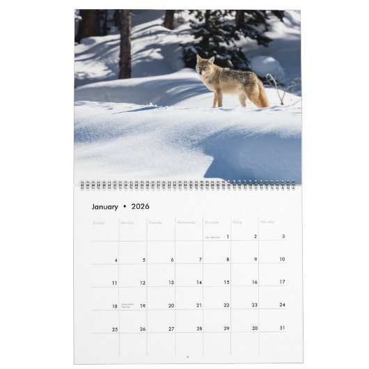 Large Size Yellowstone Park Calendar Kalender (Jan 2026)