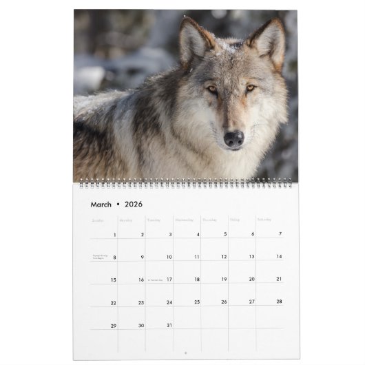 Large Size Yellowstone Park Calendar Kalender (Mar 2026)
