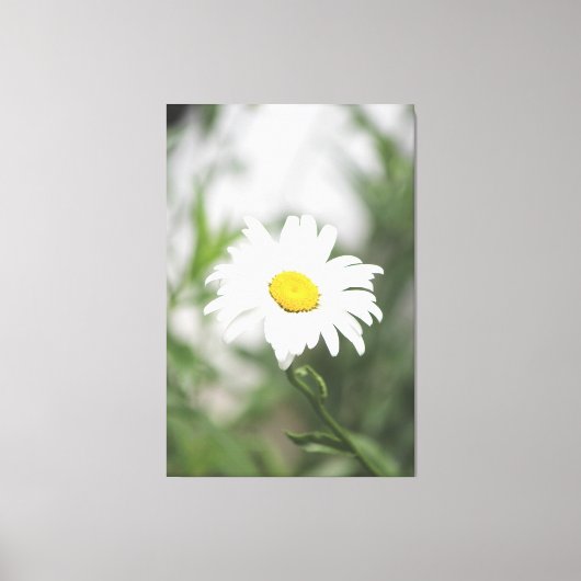 Large White Daisy Canvas (Voorkant)