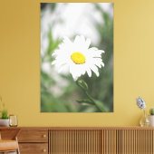 Large White Daisy Canvas (Insitu (Woonkamer))