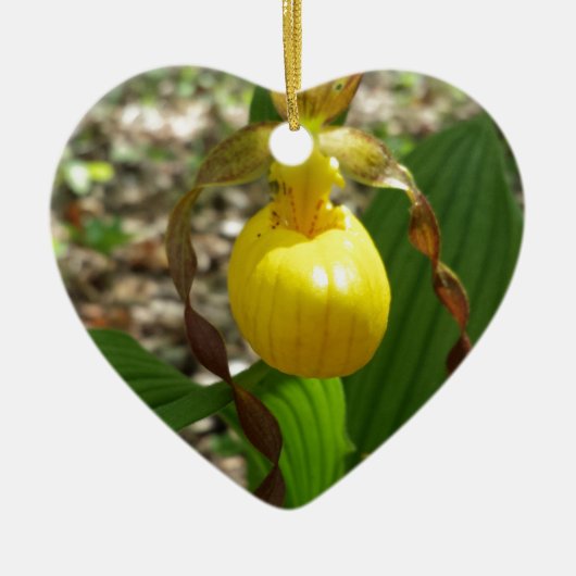 Large Yellow Lady Slipper-Cypripedium Keramisch Ornament (Voorkant)