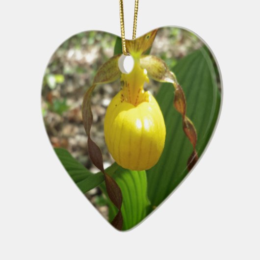 Large Yellow Lady Slipper-Cypripedium Keramisch Ornament (Links)