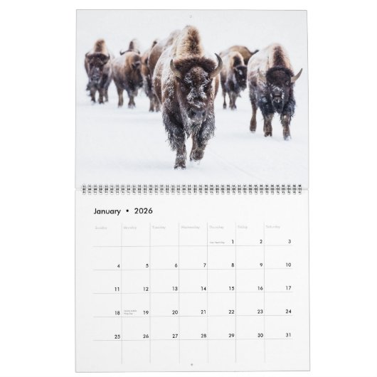 Large Yellowstone Park Calendar Kalender (Jan 2026)