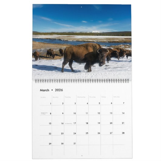 Large Yellowstone Park Calendar Kalender (Mar 2026)