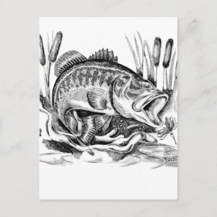 Largemouth Bass Briefkaart