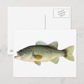 Largemouth Bass Briefkaart (Voorkant / Achterkant)