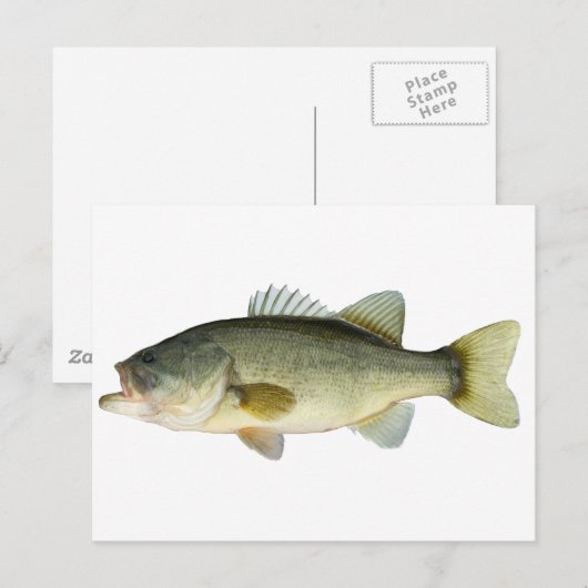 Largemouth Bass Briefkaart (Voorkant / Achterkant)