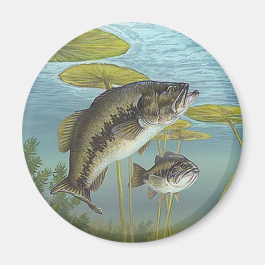Largemouth Bass Magneet (Voorkant)