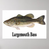 Largemouth Bass Poster (Voorkant)