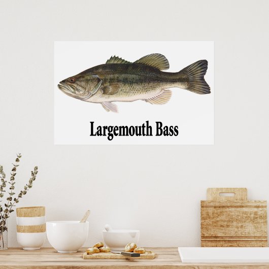 Largemouth Bass Poster (Keuken)