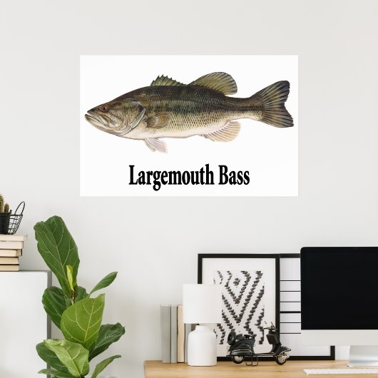 Largemouth Bass Poster (Thuiskantoor)