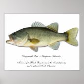 Largemouth Bass Poster (Voorkant)