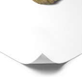 Largemouth Bass Poster (Hoek)