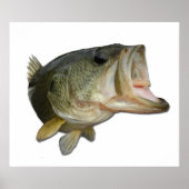 Largemouth Bass Poster (Voorkant)