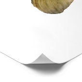 Largemouth Bass Poster (Hoek)