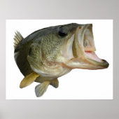 Largemouth Bass Poster (Voorkant)