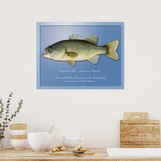 Largemouth Bass Poster (Keuken)