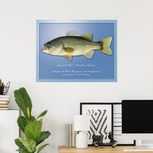 Largemouth Bass Poster (Thuiskantoor)