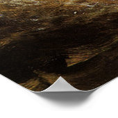  largemouth Brown Bass Fish, Sport Vist Poster (Hoek)