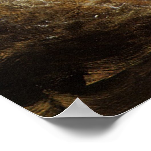  largemouth Brown Bass Fish, Sport Vist Poster (Hoek)