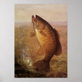  largemouth Brown Bass Fish, Sport Vist Poster (Voorkant)