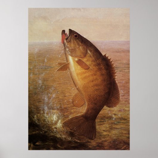  largemouth Brown Bass Fish, Sport Vist Poster (Voorkant)