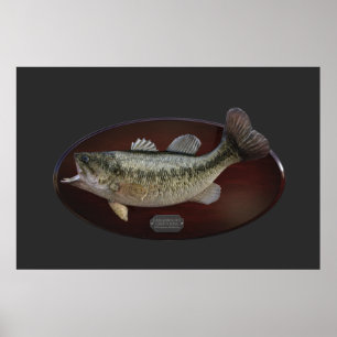 Largemouth Green Bass Trophy Plaque Poster