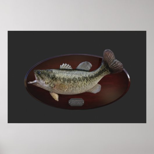 Largemouth Green Bass Trophy Plaque Poster (Voorkant)