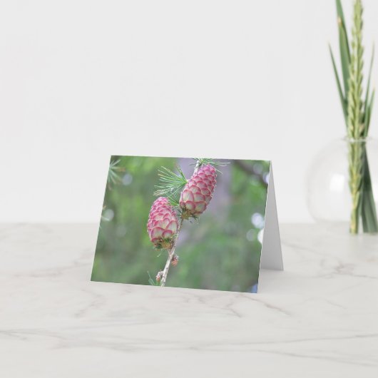 Larikskaart (Larix) Feestdagen Kaart (Voorkant)