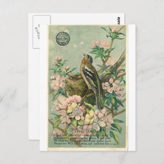  Lark Bird Briefkaart (Voorkant / Achterkant)