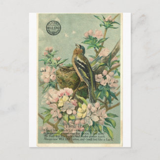  Lark Bird Briefkaart